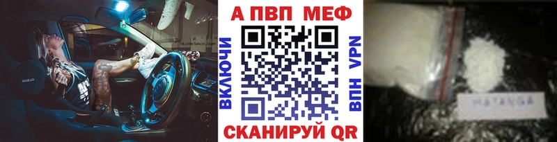 Альфа ПВП СК КРИС  Кологрив 