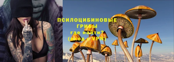 СК Саяногорск