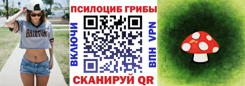 Галлюциногенные грибы мухоморы  Кологрив 